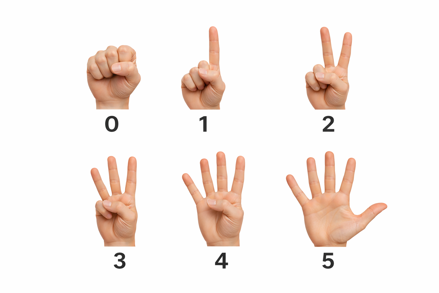 Faust, eins, zwei, drei, vier und fünf als sechs Handzustände.